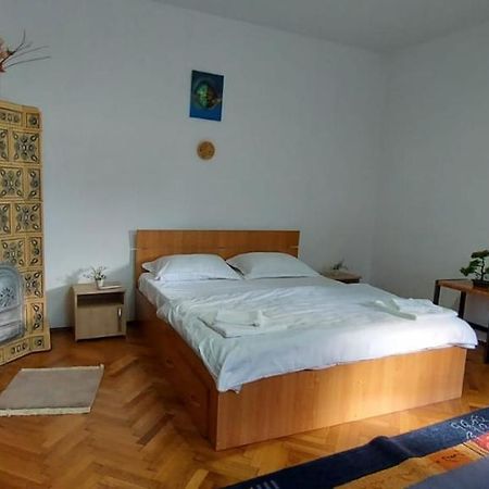 La Miruna Apartment Сибиу Екстериор снимка